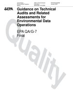 Guidance on Technica Audits and Related Assessments for Environmental Data Operations EPA QA/G-7 doc