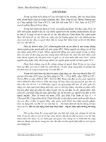 Tiểu luận quản trị dự án   đầu tư xây dựng nhà máy thủy điện – dự án thủy điện krông h’năng 2 - Đại học duy tân đà nẵng