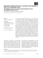 Báo cáo khoa học: Expression studies of the core+1 protein of the hepatitis C virus 1a in mammalian cells pot
