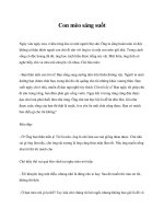 Con mèo sáng suốt pot