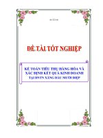 luận văn kế toán tiêu thụ hàng hóa và xác định kết quả kinh doanh tại dntn xăng dầu mười hiệp