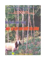 Kỹ thuật nuôi trồng một số cây con dưới tán rừng docx