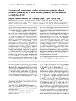 Báo cáo Y học: Expression of recombinant murine pregnancy-associated plasma protein-A (PAPP-A) and a novel variant (PAPP-Ai) with differential proteolytic activity pot