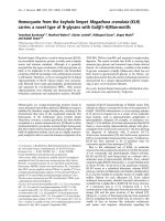 Báo cáo Y học: Hemocyanin from the keyhole limpet Megathura crenulata (KLH) carries a novel type of N-glycans with Gal(b1–6)Man-motifs doc
