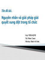 NGUYÊN NHÂN và GIẢI PHÁP GIẢI QUYẾT XUNG đột TRONG tổ CHỨC