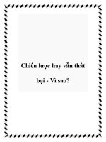 Chiến lược hay vẫn thất bại - Vì sao? pdf
