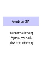 Recombinant DNA I - Basics of molecular cloning Polymerase chain reaction cDNA clones and screening