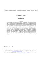 What determines banks’ sensitivity to money market interest rates? pot