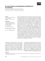 Báo cáo khoa học: A novel isoform of pantothenate synthetase in the Archaea potx