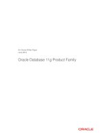 Oracle Database 11g Product Family docx