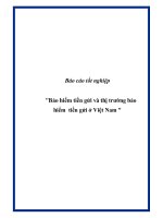 Báo cáo tốt nghiệp 