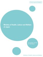 Ministry of Health, Labour and Welfare of Japan ppt