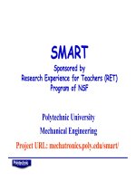 SMART Sponsored by Research Experience for Teachers (RET) Program of NSF docx
