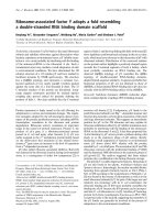 Báo cáo Y học: Ribosome-associated factor Y adopts a fold resembling a double-stranded RNA binding domain scaffold potx