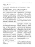 Báo cáo khoa học: Well-deﬁned secondary structures Information-storing molecular duplexes and helical foldamers based on unnatural peptide backbones pot