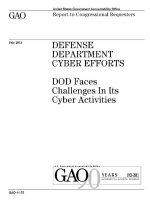 defense department cyber efforts doc