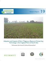 adoption and impacts of zero tillage as a resource conserving technology ppt