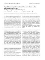 Báo cáo khoa học: Key substrate recognition residues in the active site of a plant cytochrome P450, CYP73A1 ppt