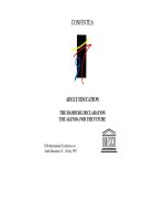 THE HAMBURG DECLARATION THE AGENDA FOR THE FUTURE ppt