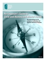 An Employer’s Guide to Child and Adolescent Mental Health ppt