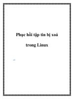 Phục hồi tập tin bị xoá trong Linux potx