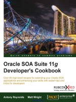 Oracle SOA Suite 11g Developer''''s Cookbook pot