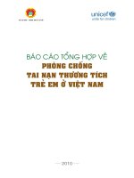 Tình hình dinh dưỡng Việt Nam năm 2009-2010 pot