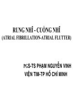 RUNG NHĨ - CUỒNG NHĨ doc