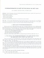 Hydroinformatics và một số ứng dụng ở Việt Nam. potx