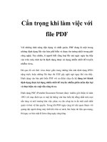 Cẩn trọng khi làm việc với file PDF doc
