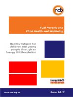 Healthy futures for children and young people through an Energy Bill Revolution doc