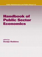Handbook of Public Sector Economics potx