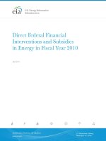 Direct Federal Financial Interventions and Subsidies in Energy in Fiscal Year 2010 potx