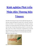 Kinh nghiệm Phát triển Nhận diện Thương hiệu Vinasoy pptx