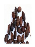 Thuốc Nam chữa bệnh hay gặp mùa nóng ppt