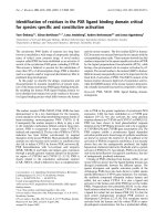 Báo cáo Y học: Identiﬁcation of residues in the PXR ligand binding domain critical for species speciﬁc and constitutive activation docx