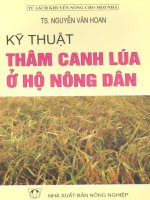 Kỹ thuật thâm canh lúa ở hộ nông dân pdf