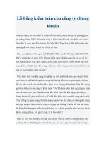 Lỗ hổng kiểm toán cho công ty chứng khoán ppt