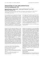 Báo cáo Y học: Characterization of a low redox potential laccase from the basidiomycete C30 pptx