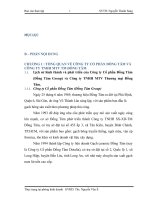 Thực trạng và tình hình kinh doanh tại phòng kinh doanh chi nhánh Hồ Chí Minh – công ty TNHH TMV Thương Mại Đồng Tâm