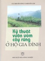 kỹ thuật vườn ươm cây rừng ở hộ gia đình