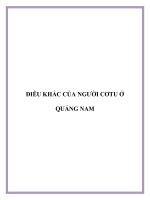 YẾU TỐ MỸ THUẬT TRONG ĐIÊU KHẮC CỦA NGƯỜI CƠTU Ở QUẢNG NAM pptx