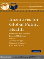 INCENTIVES FOR GLOBAL PUBLIC HEALTH potx