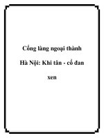 Cổng làng ngoại thành Hà Nội: Khi tân - cổ đan xen pot