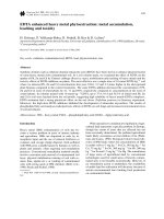 EDTA enhanced heavy metal phytoextraction metal accumulation leaching and toxicity