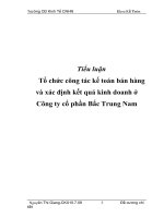 Tiểu luận Tổ chức công tác kế toán bán hàng và xác định kết quả kinh doanh ở Công ty cổ phần Bắc Trung Nam pdf