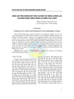 ĐÁNH GIÁ TÍNH KHÁNG RẦY NÂU CỦA MỘT SỐ DÒNG, GIỐNG LÚA TẠI ĐỒNG BẰNG SÔNG HỒNG VÀ SÔNG CỬU LONG doc
