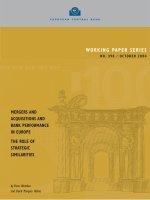 WORKING PAPER SERIES NO. 398 / OCTOBER 2004: MERGERS AND ACQUISITIONS AND BANK PERFORMANCE IN EUROPE THE ROLE OF STRATEGIC SIMILARITIES potx