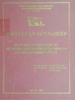 Một số giải pháp nhằm nâng cao hiệu quả hoạt động nhượng quyền thương mại của các doanh nghiệp Việt Nam