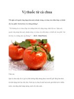 Vị thuốc từ cà chua potx